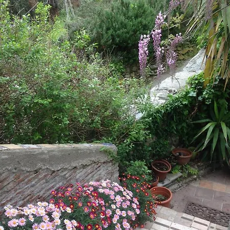La Luna E Sei Soldi Bed & Breakfast *